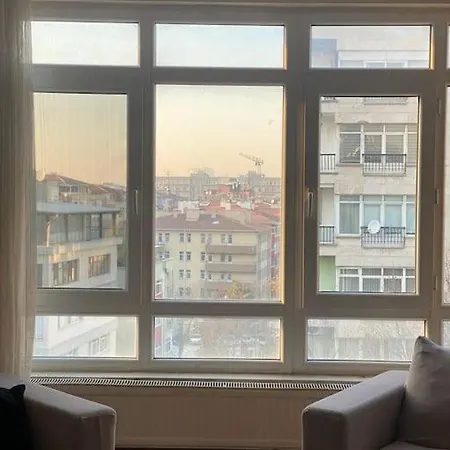 3+1 View Family